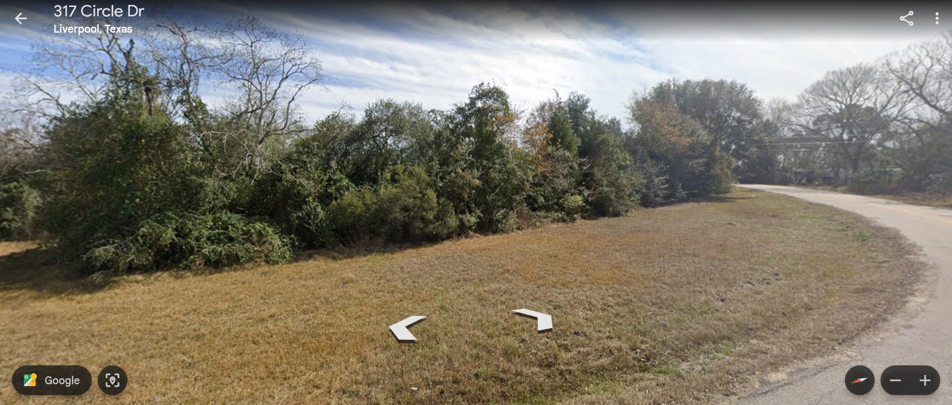 Tbd Circle Drive Liverpool, TX 77577 - Photo 4 of 7