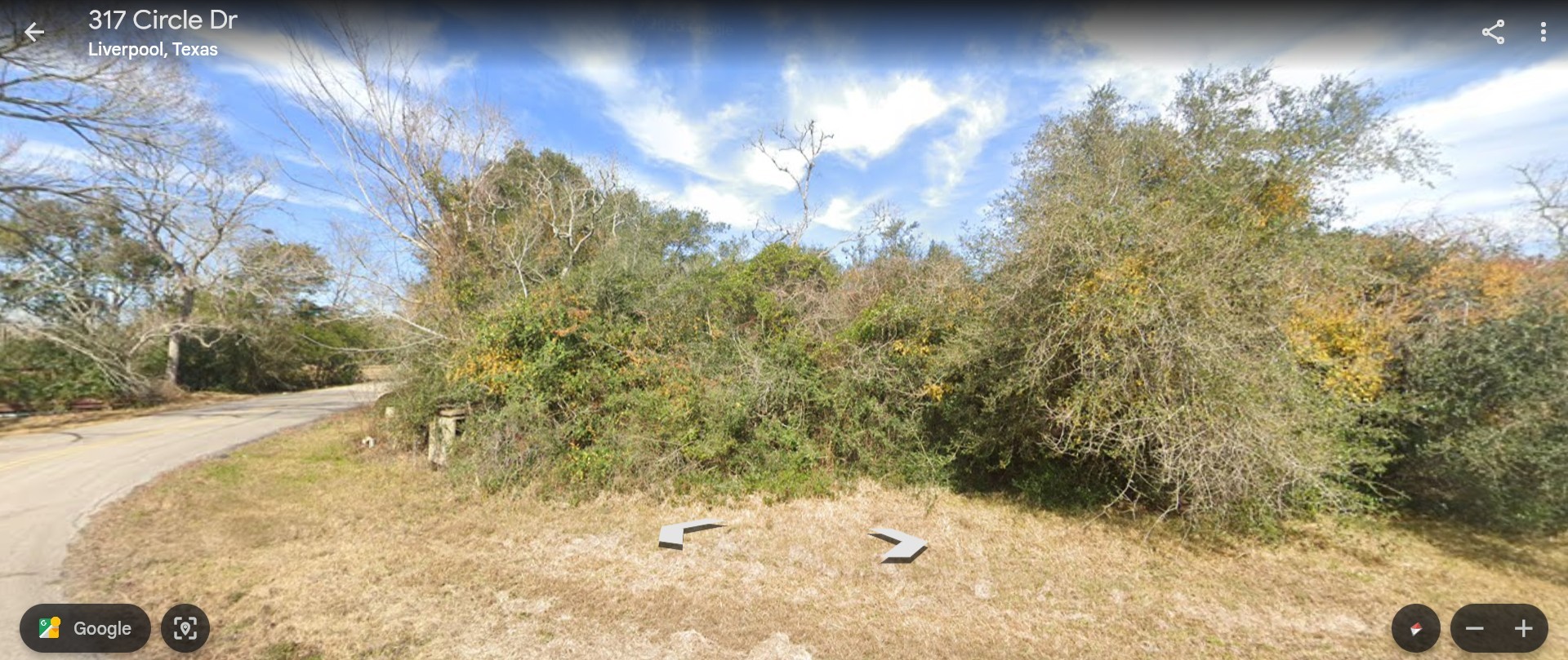 Tbd Circle Drive Liverpool, TX 77577 - Photo 6 of 7