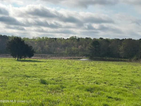 $175,000 | Neal Road, Forest, MS 39074