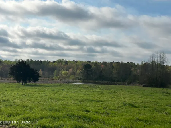 $175,000 | Neal Road, Forest, MS 39074