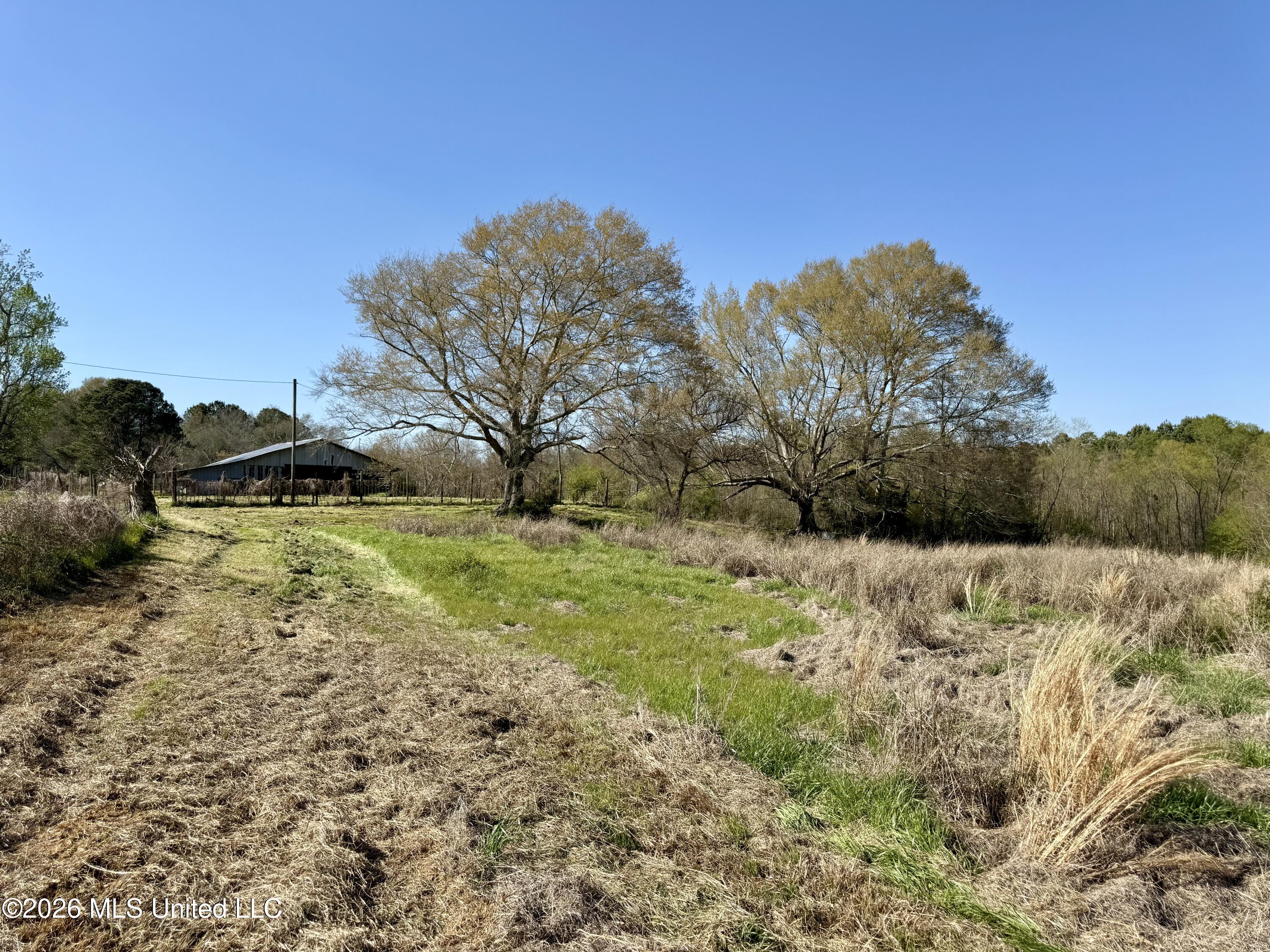 Neal Road Forest, MS 39074 - Photo 2 of 11 IMG_6627