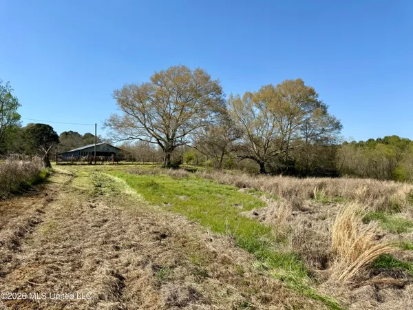 $175,000 | Neal Road, Forest, MS 39074