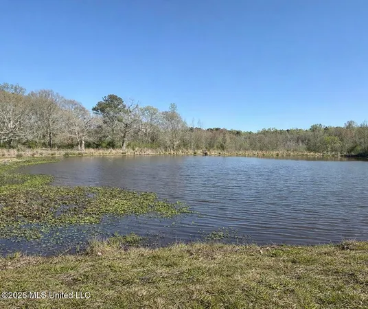 $175,000 | Neal Road, Forest, MS 39074
