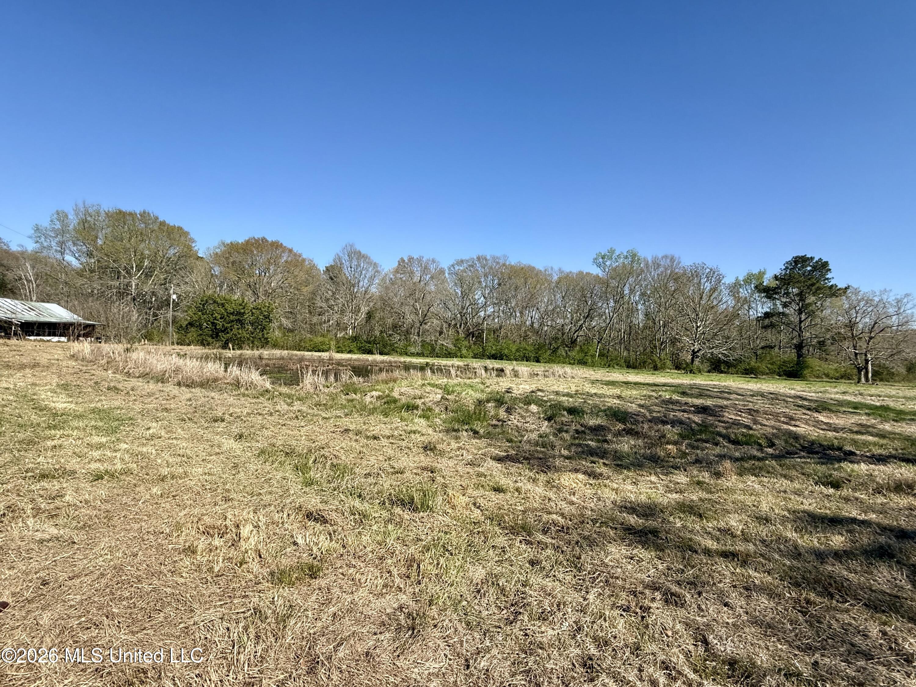 Neal Road Forest, MS 39074 - Photo 4 of 11 IMG_6620