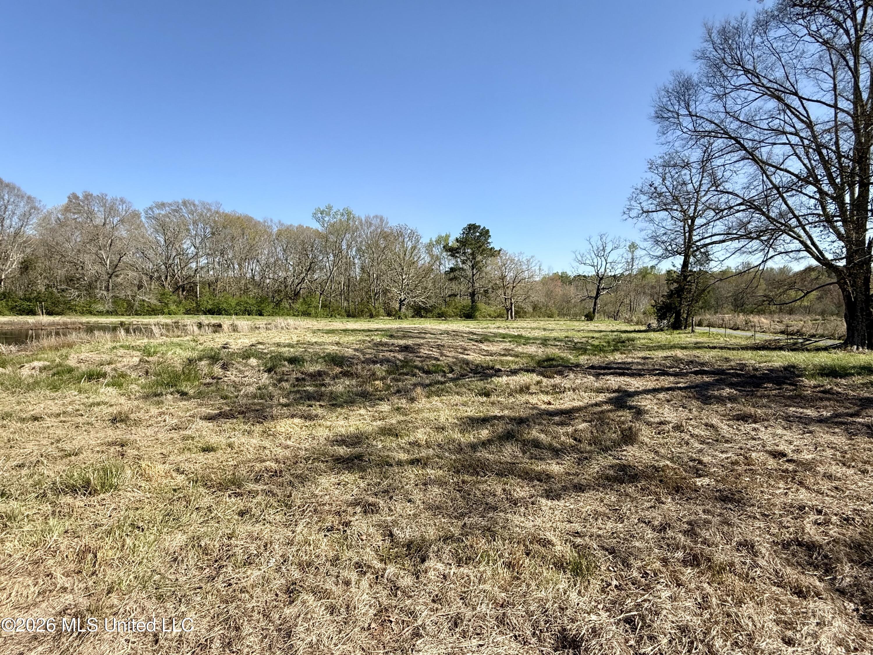 Neal Road Forest, MS 39074 - Photo 5 of 11 IMG_6621