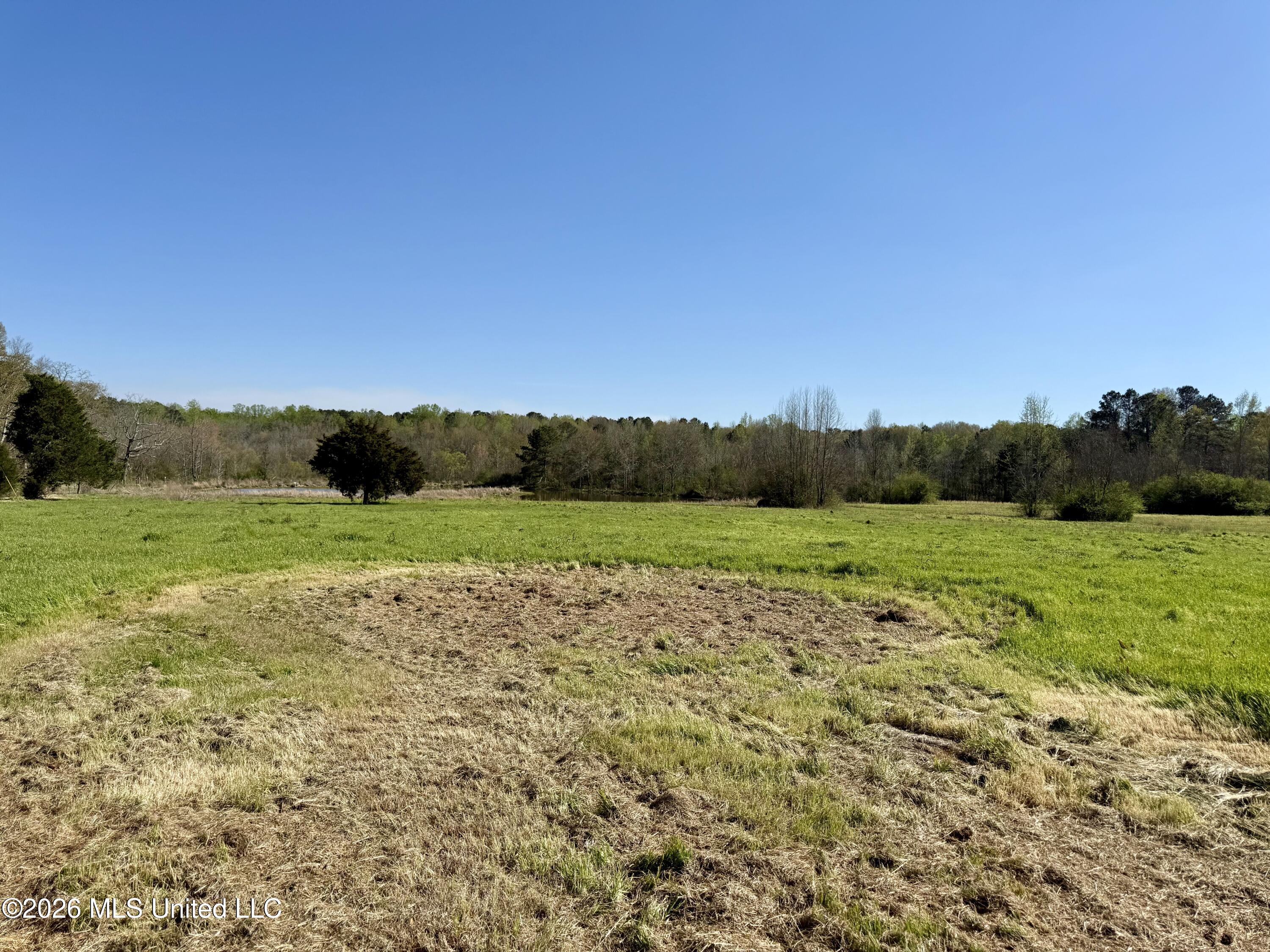 Neal Road Forest, MS 39074 - Photo 6 of 11 IMG_6613