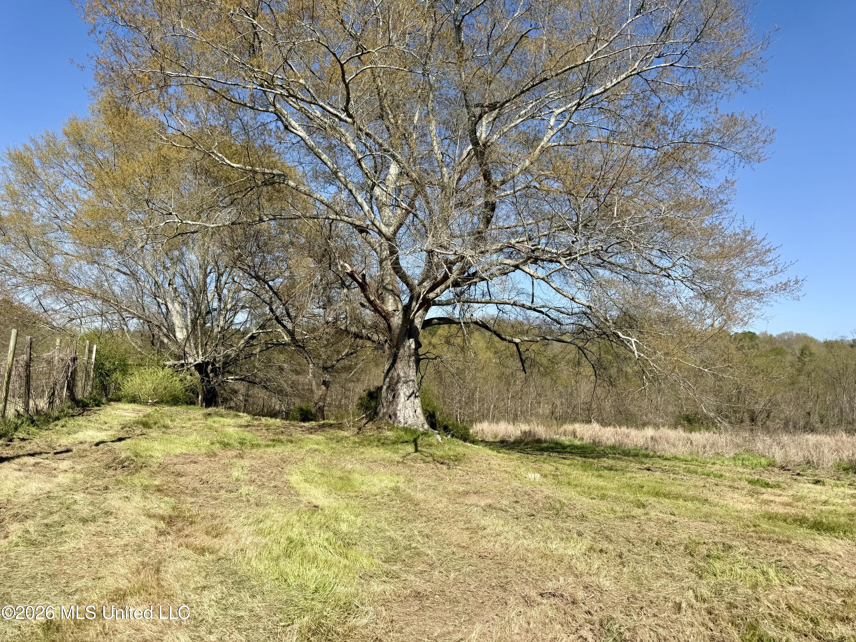 Neal Road Forest, MS 39074 - Photo 6 of 8 IMG_6607