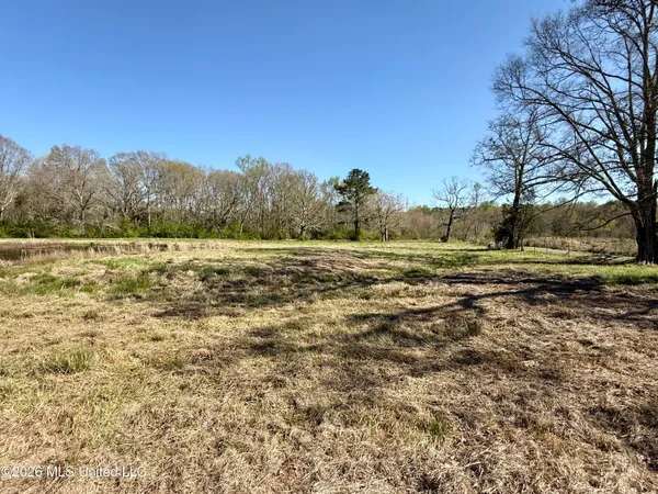 $175,000 | Neal Road, Forest, MS 39074