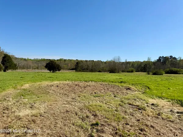 $175,000 | Neal Road, Forest, MS 39074