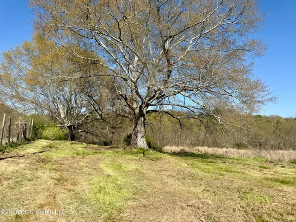 $175,000 | Neal Road, Forest, MS 39074