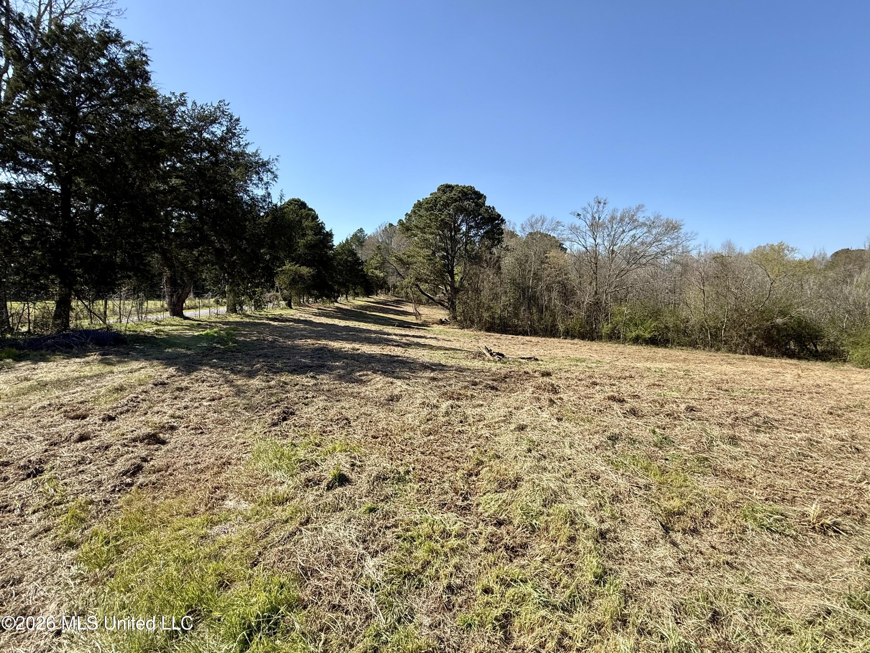 Neal Road Forest, MS 39074 - Photo 10 of 11 IMG_6611