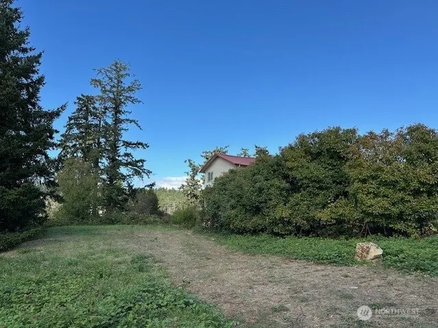 a view of a yard with a tree
