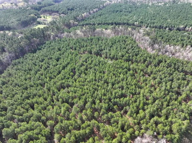 a view of a green field