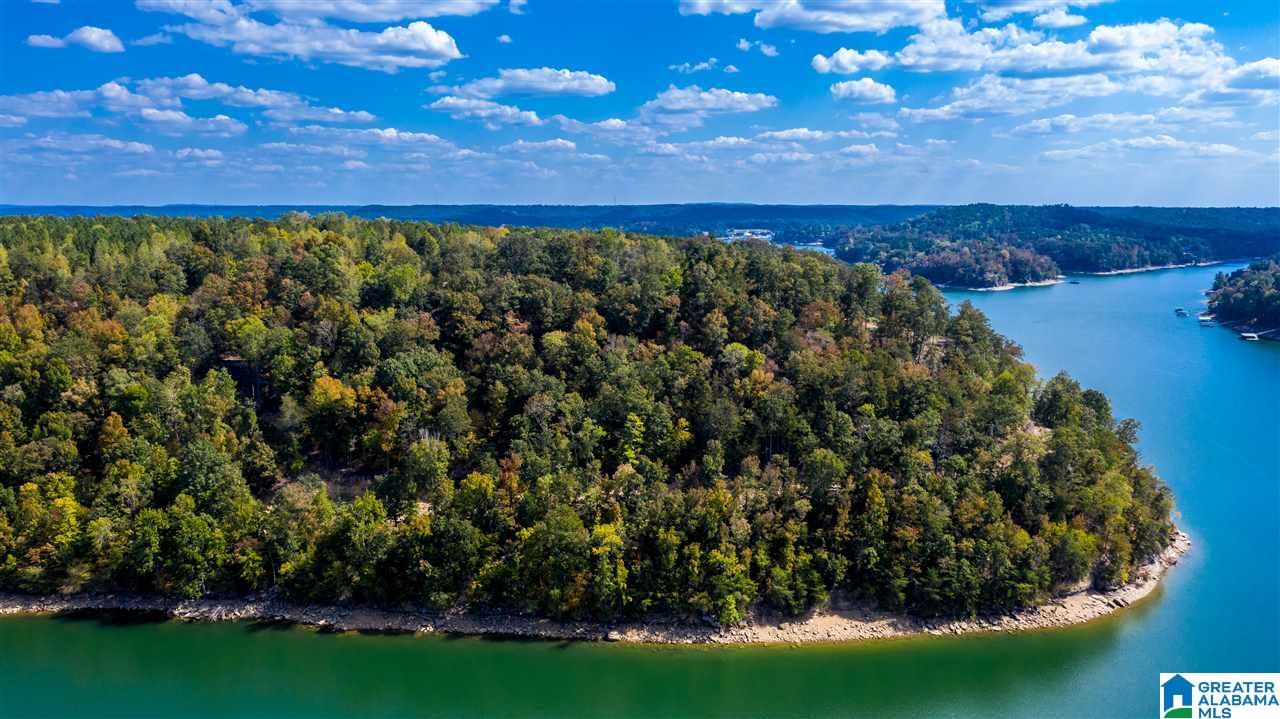 0 County Road 297 Cullman, AL 35057 - Photo 37 of 48