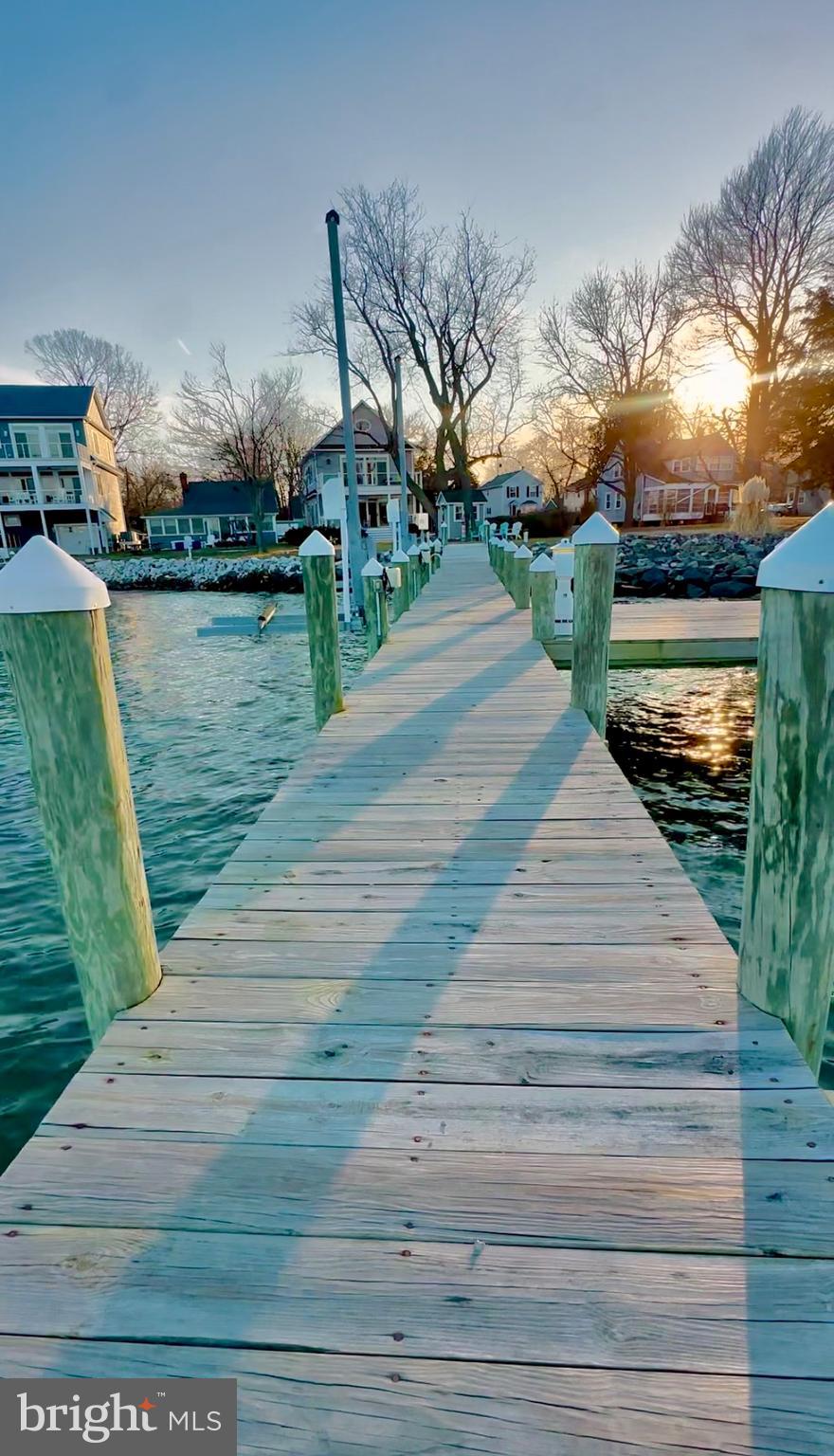 1538 Robinson Road Shady Side, MD 20764 - Photo 60 of 71 a park view with potted plants and large trees