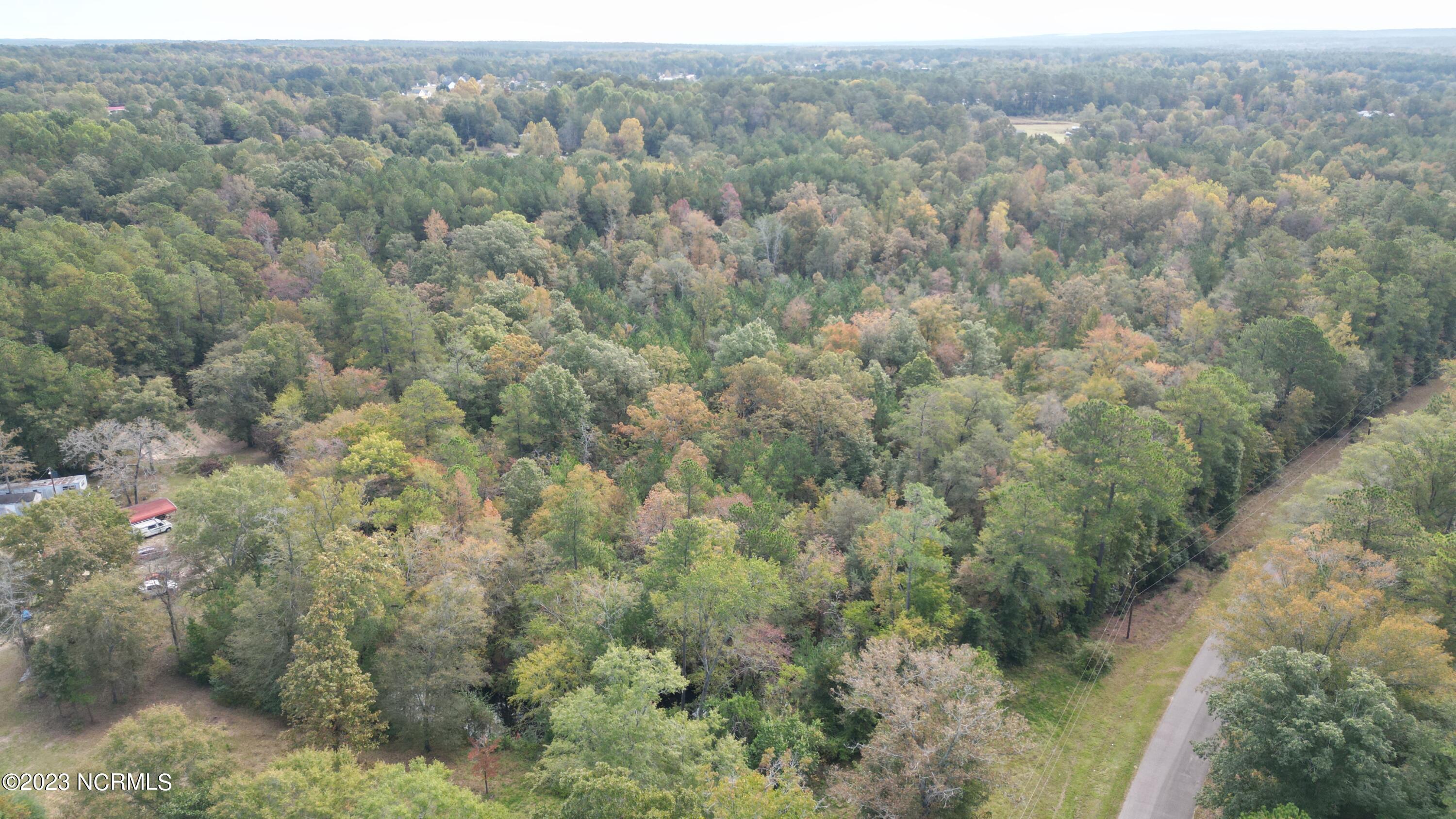 18.33-acre McPherson Road Vass, NC 28394 - Photo 24 of 39 DJI_0136