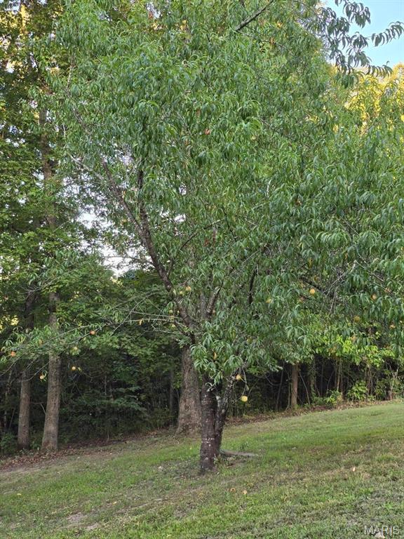 11498 M- Weatherman Mountain Grove Mountain Grove, MO 65711 - Photo 27 of 32