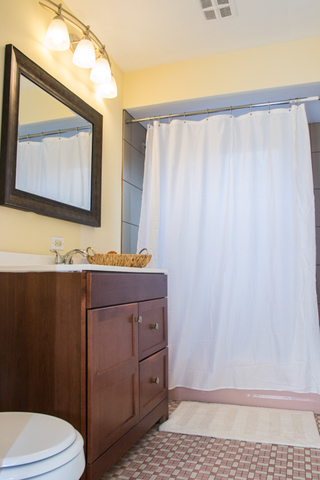 3943 West 83rd Street Chicago, IL 60652 - Photo 11 of 16 a bathroom with a toilet a sink and a mirror