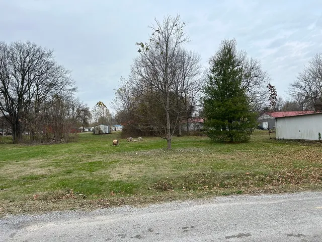 $7,600 | 313 East 7th Street, Brookport, IL 62910