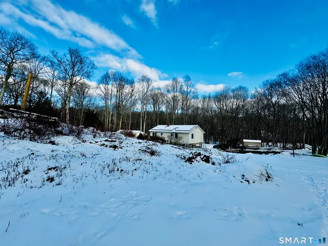 a view of a yard with a tree