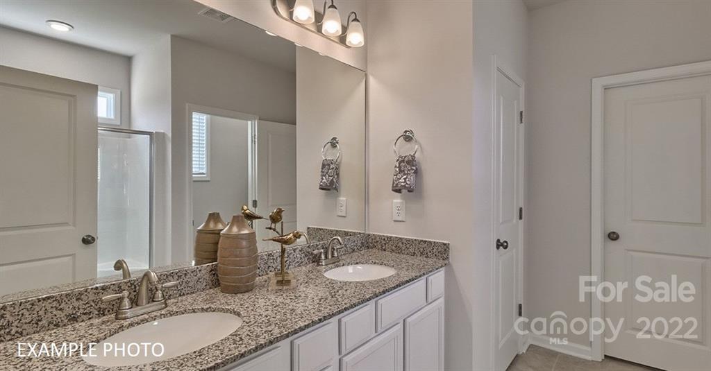7200 Indigo Way Denver, NC 28037 - Photo 10 of 11 a bathroom with a granite countertop sink and a mirror