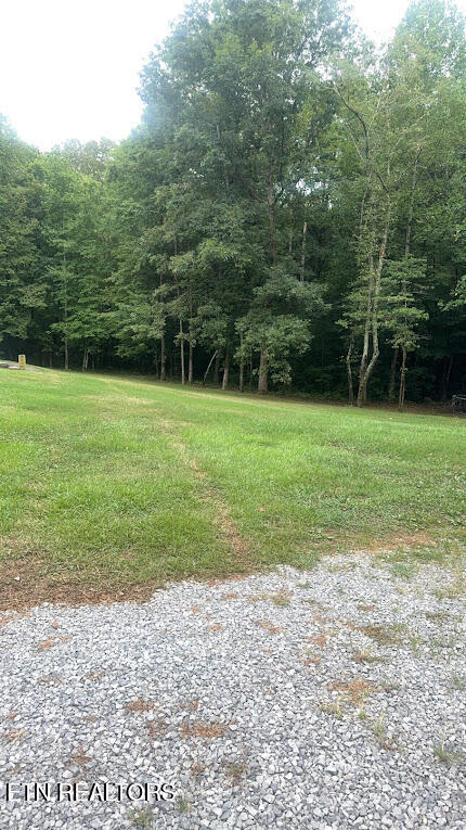 113 McSpadden Branch Road Vonore, TN 37885 - Photo 17 of 41 Side yard
