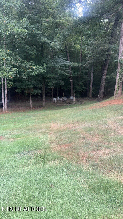 113 McSpadden Branch Road Vonore, TN 37885 - Photo 29 of 41 Firepit area in the yar