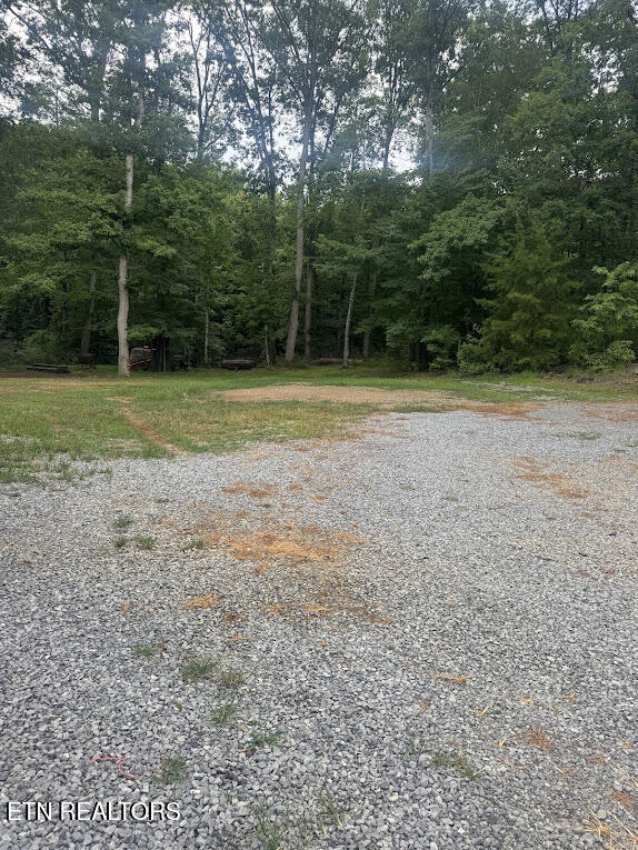 113 McSpadden Branch Road Vonore, TN 37885 - Photo 41 of 41 Yard behind the store