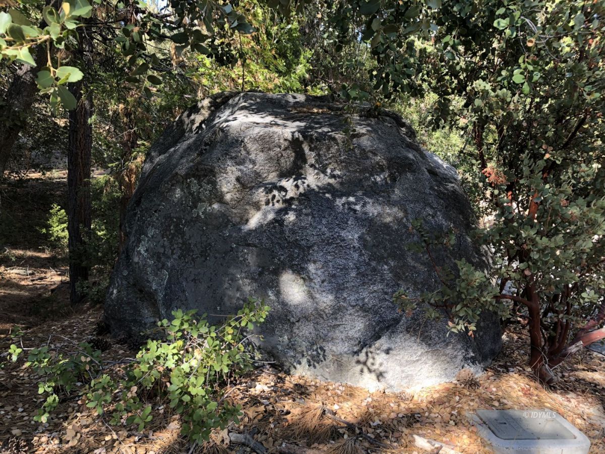 Lakeview Idyllwild, CA 92549 - Photo 12 of 43 a view of a tree in a yard