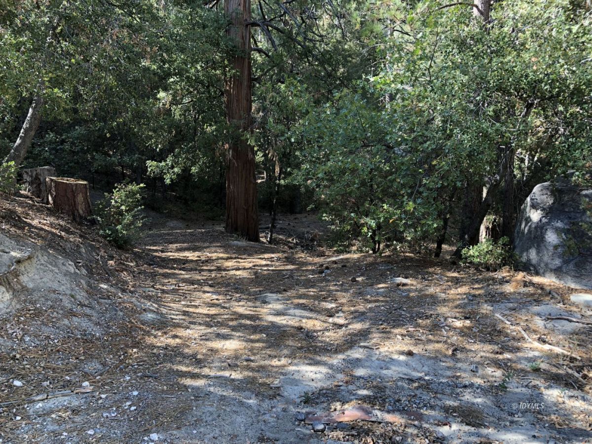 Lakeview Idyllwild, CA 92549 - Photo 15 of 43 a view of tree