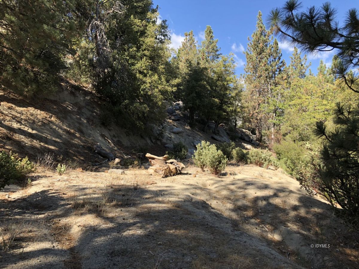 Lakeview Idyllwild, CA 92549 - Photo 18 of 43 a view of a yard with snow on the road