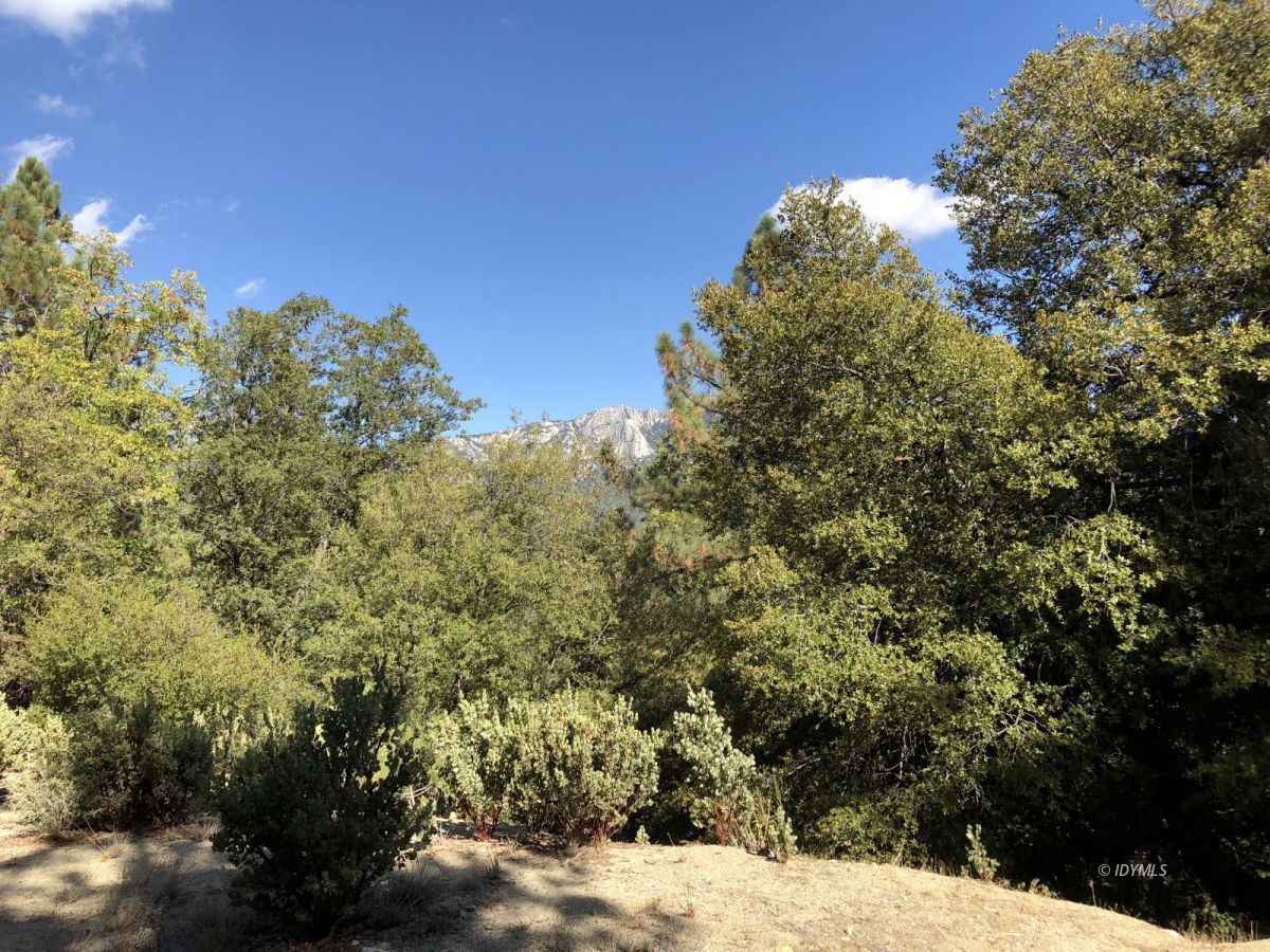 Lakeview Idyllwild, CA 92549 - Photo 2 of 43