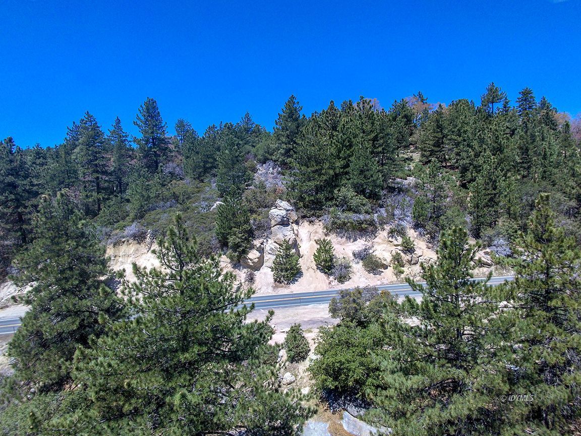 Lakeview Idyllwild, CA 92549 - Photo 25 of 43 a view of a yard with a tree in the background