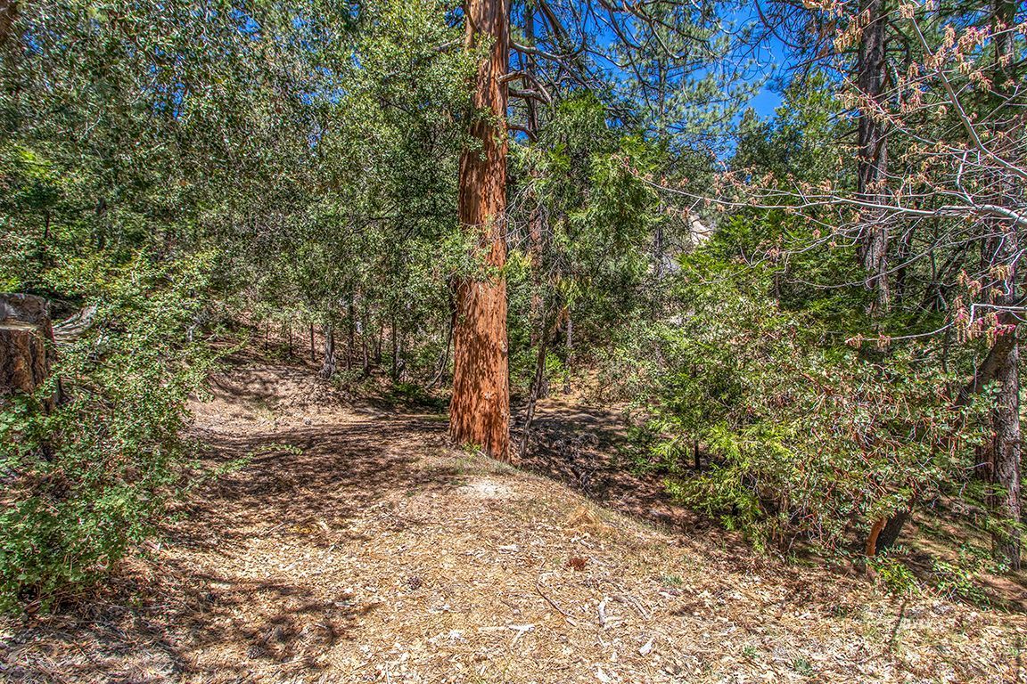 Lakeview Idyllwild, CA 92549 - Photo 27 of 43 a view of a forest with trees