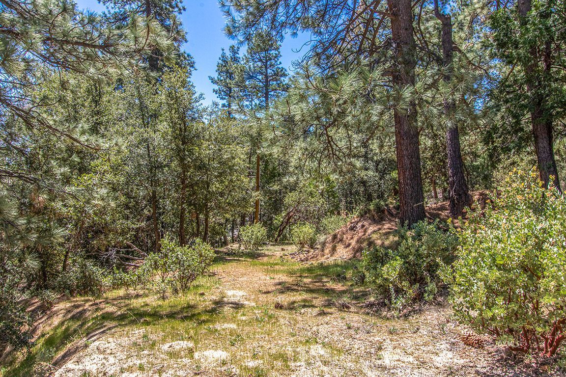 Lakeview Idyllwild, CA 92549 - Photo 28 of 43 a view of outdoor space and a yard