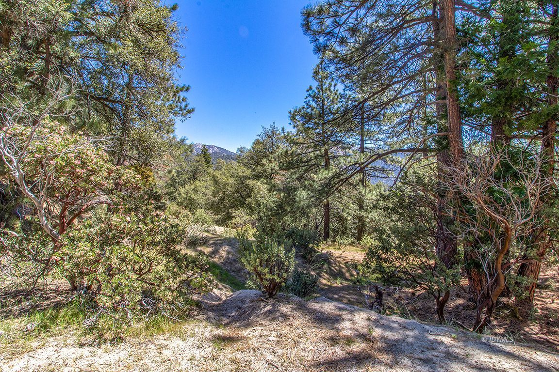 Lakeview Idyllwild, CA 92549 - Photo 29 of 43 a view of a forest with trees in the background