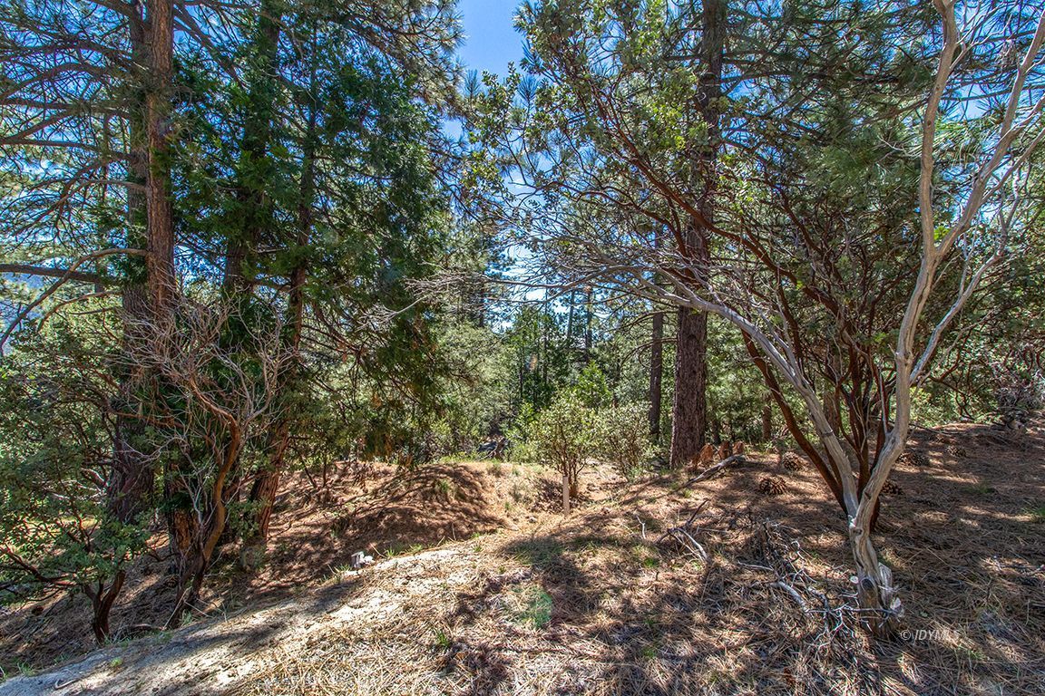 Lakeview Idyllwild, CA 92549 - Photo 30 of 43 a view of forest
