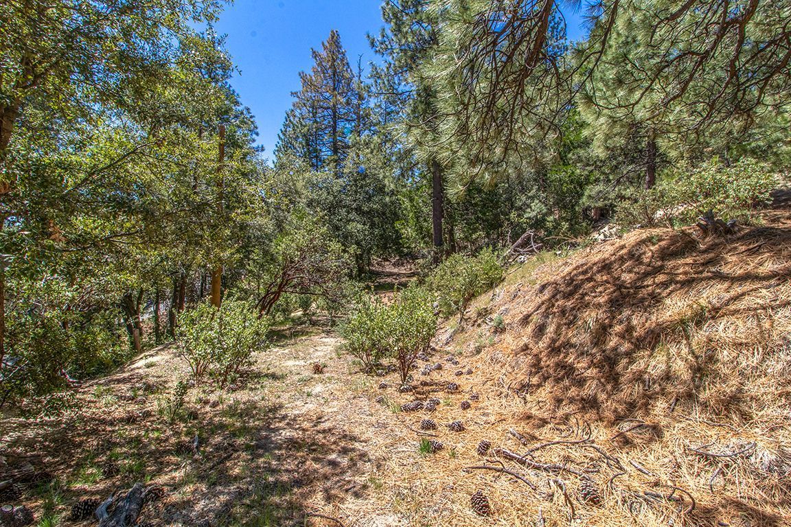 Lakeview Idyllwild, CA 92549 - Photo 34 of 43 a view of a yard with a tree