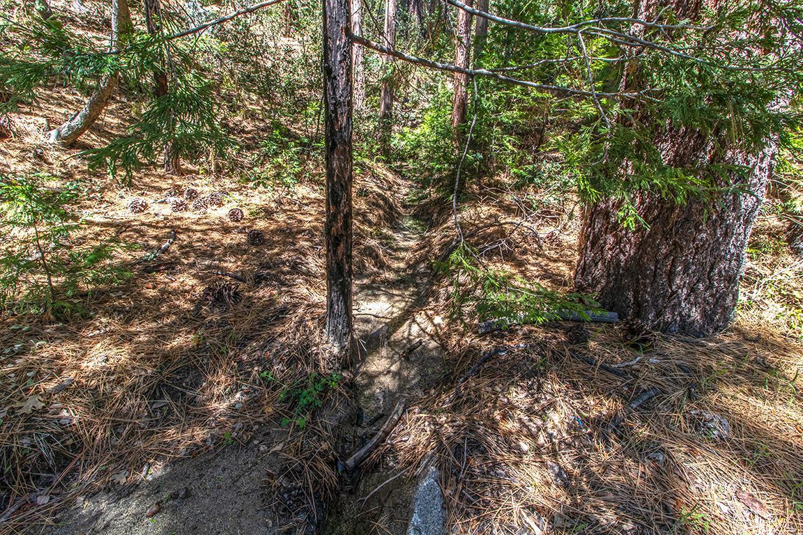 Lakeview Idyllwild, CA 92549 - Photo 42 of 43 a view of a tree in a yard