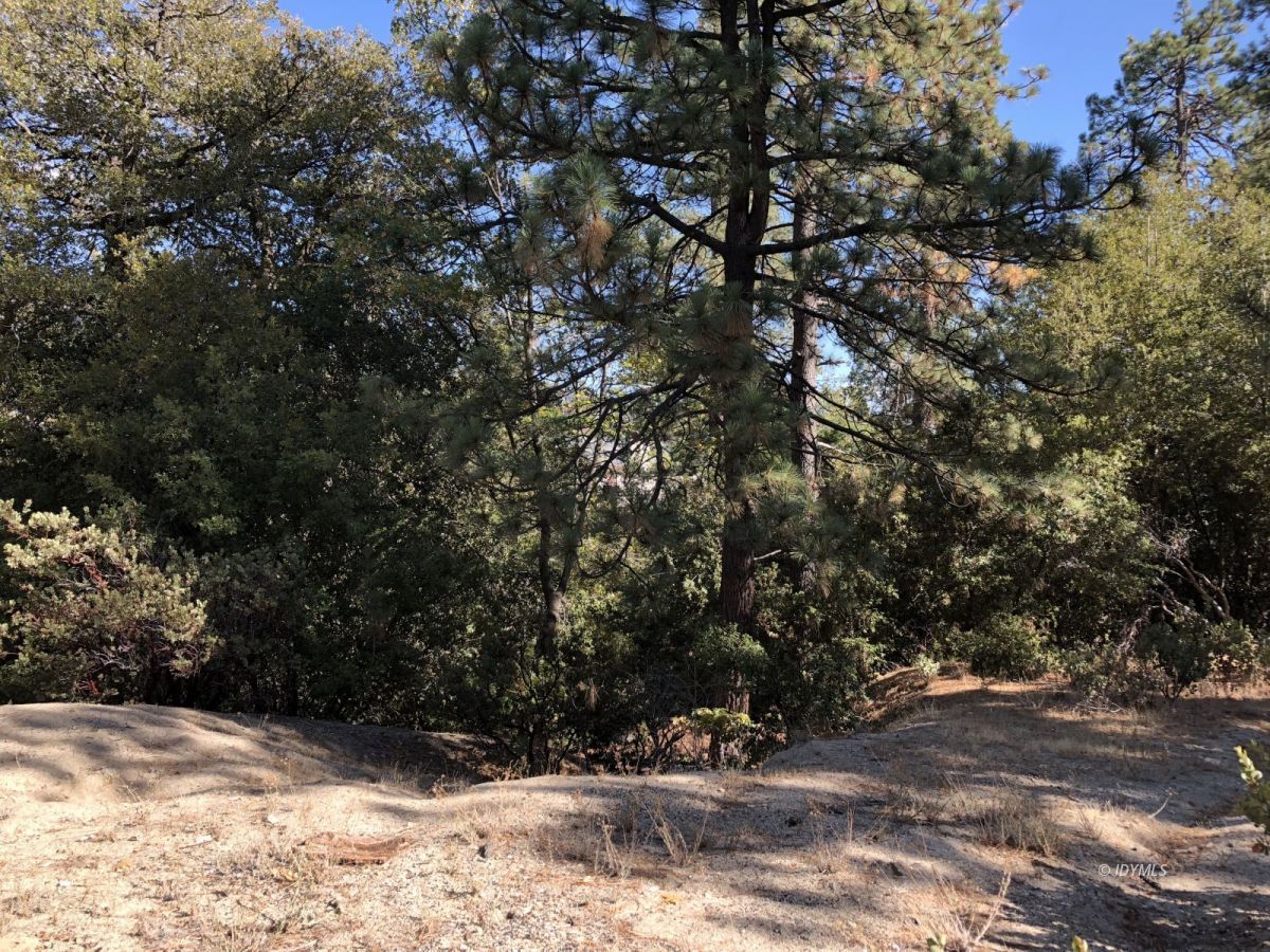 Lakeview Idyllwild, CA 92549 - Photo 43 of 43 a view of outdoor space and yard