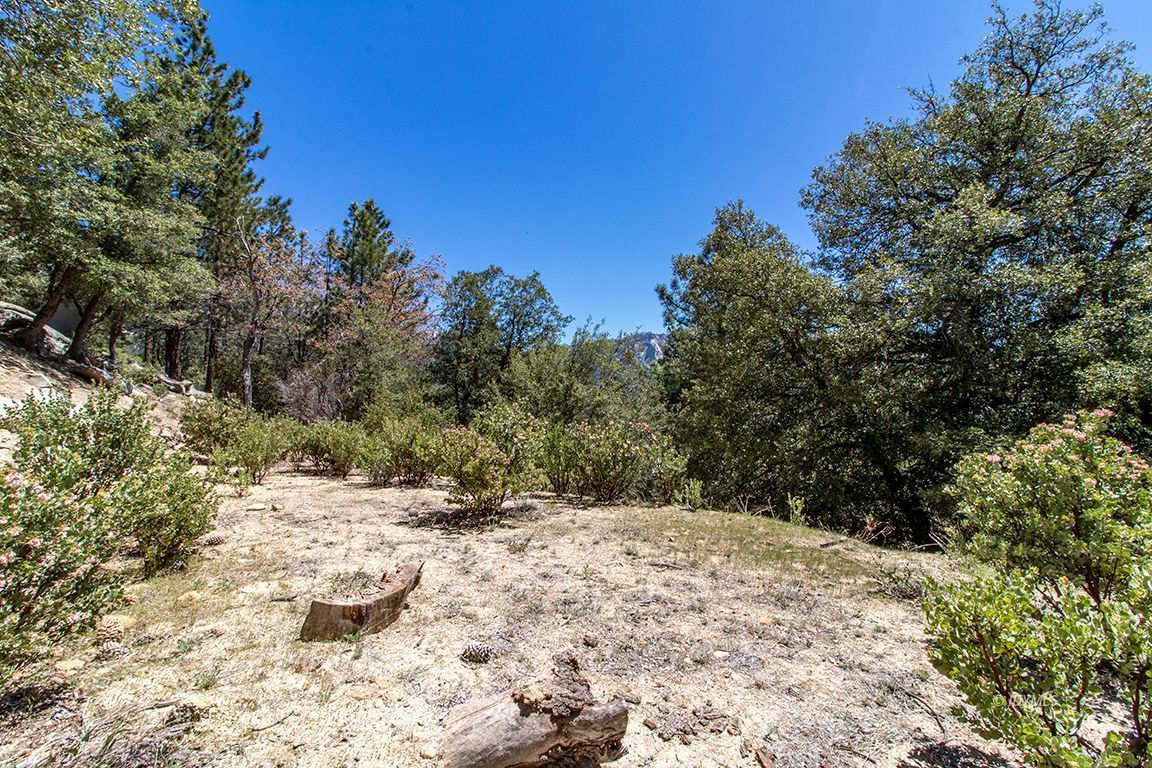 Lakeview Idyllwild, CA 92549 - Photo 9 of 43 a view of a yard with a tree
