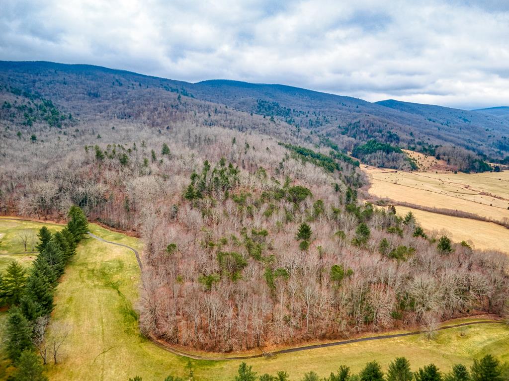 Tbd Tbd Grapefield Road Bastian, VA 24314 - Photo 7 of 39 Gallery Image 7