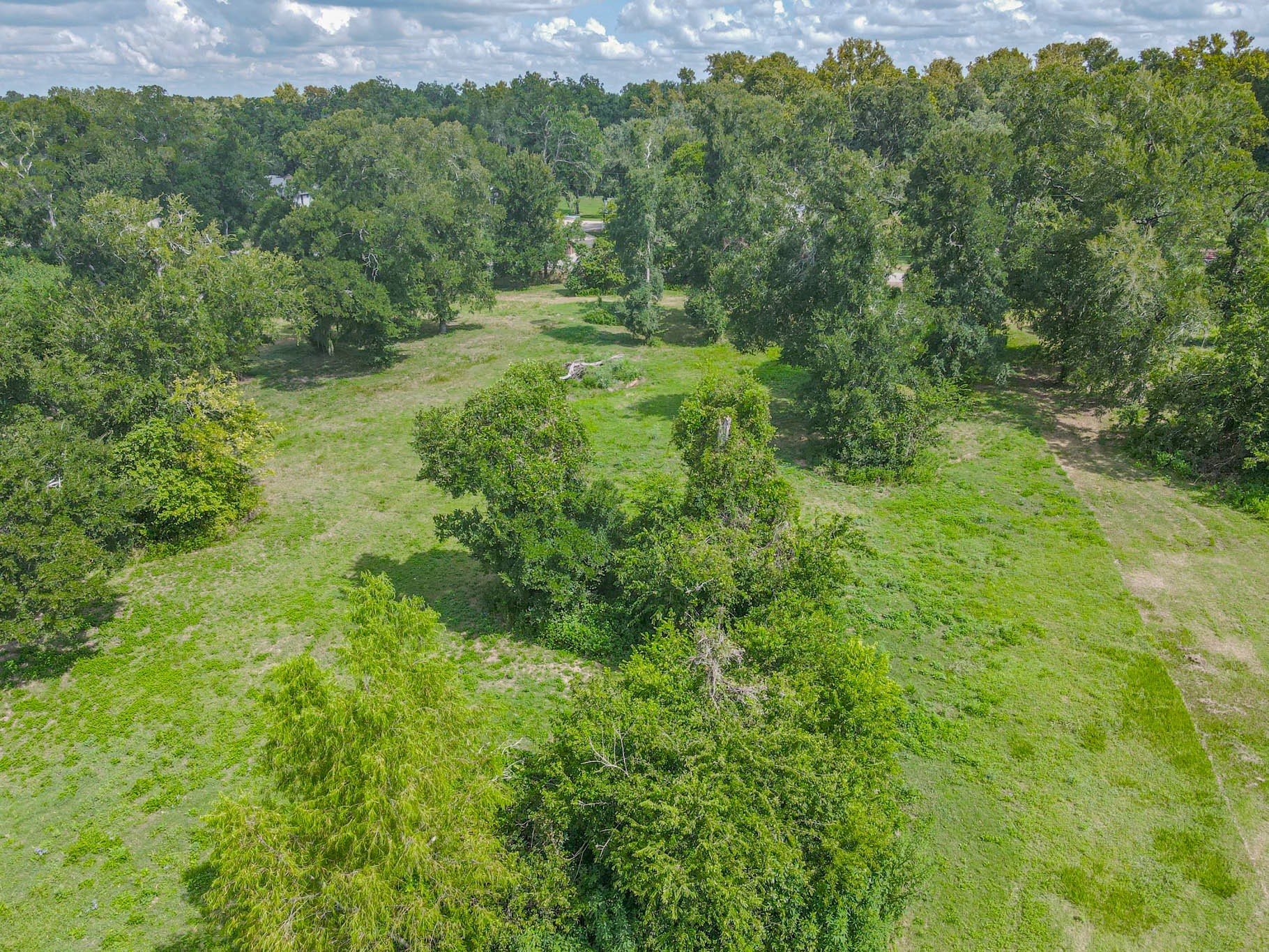 0 Buckskin Road Wallis, TX 77485 - Photo 5 of 6 Expansive grassy lot surrounded by mature trees, offering a serene and private setting ideal for building a dream home.
