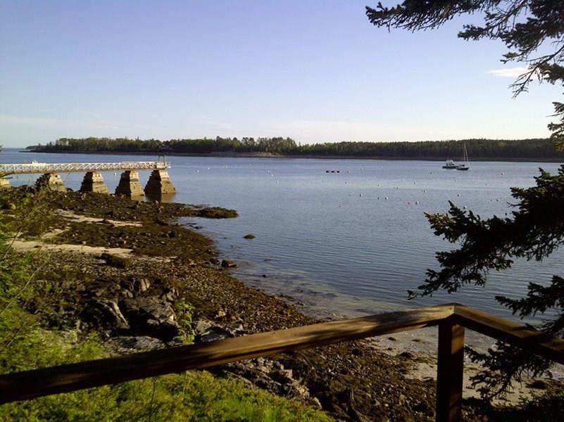 7 Barnacles Way Mount Desert, ME 04662 - Photo 23 of 24 View from deck to Great Harbor...