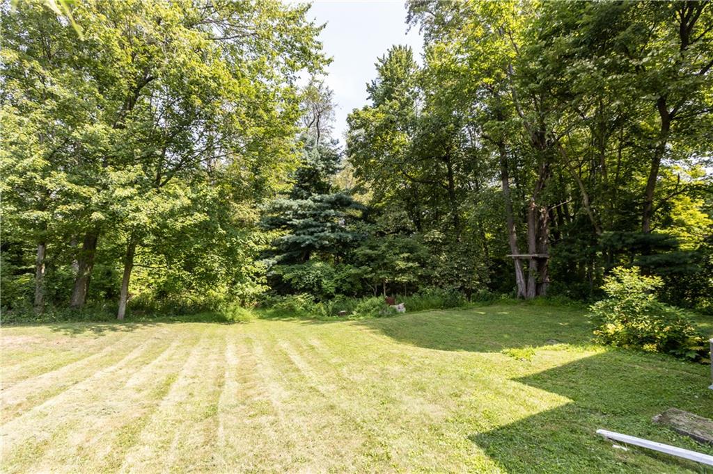 146 Ridgewood Road Coraopolis, PA 15108 - Photo 31 of 31 a view of backyard with green space