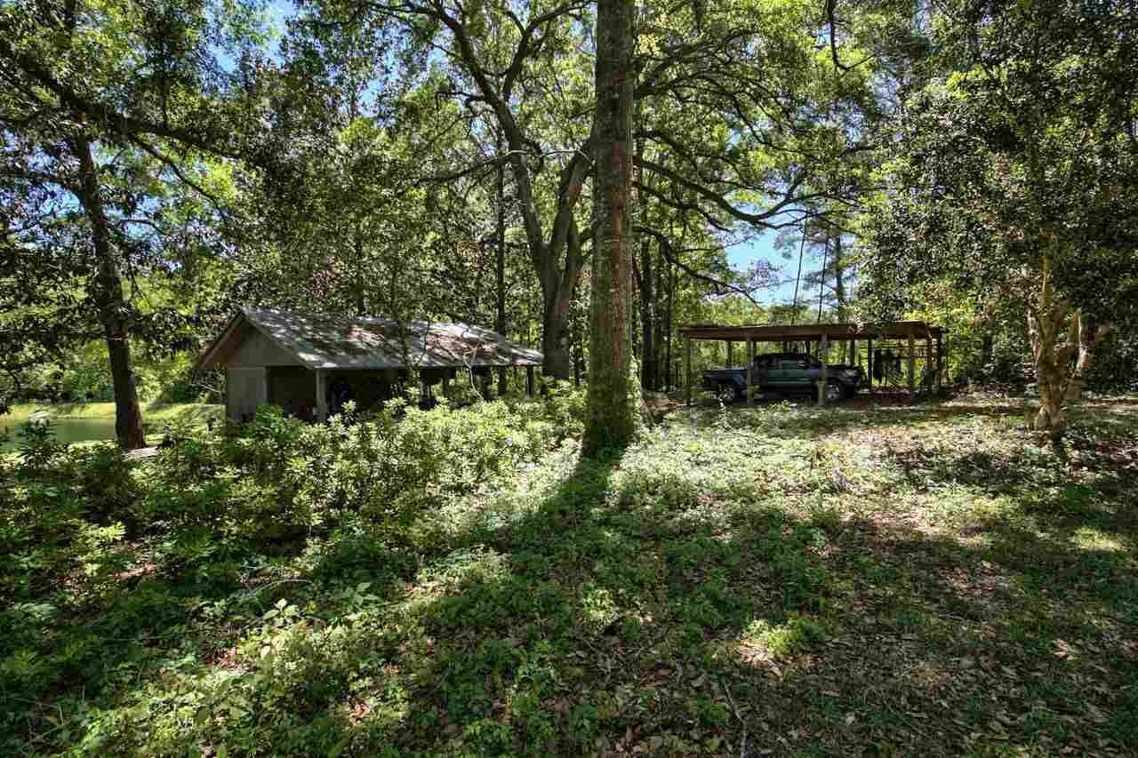 1150 Bell Road Havana, FL 32333 - Photo 9 of 36 Gallery Image 9