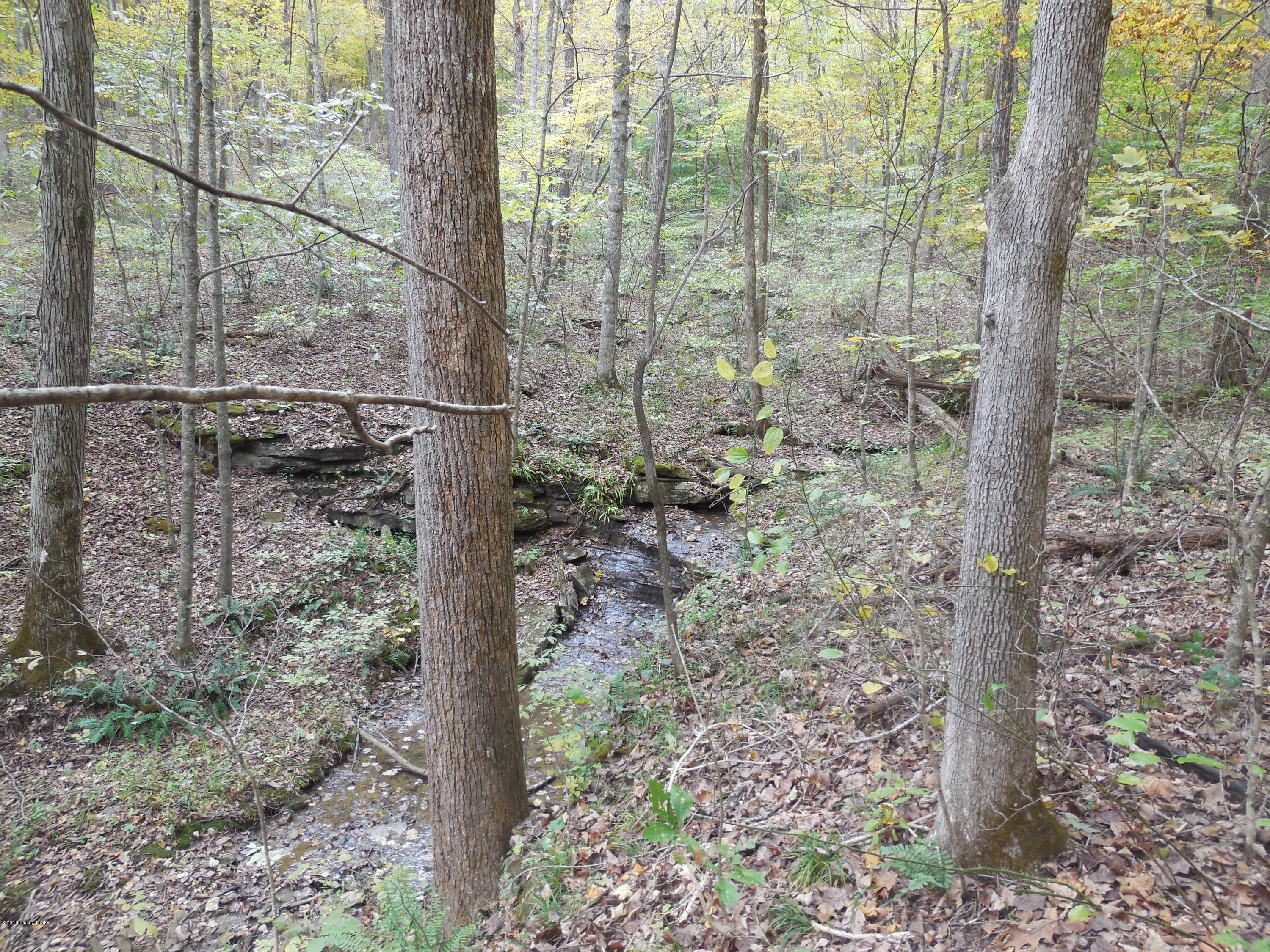 0 Corinth Road Buffalo, KY 42716 - Photo 27 of 30 DSCN1788