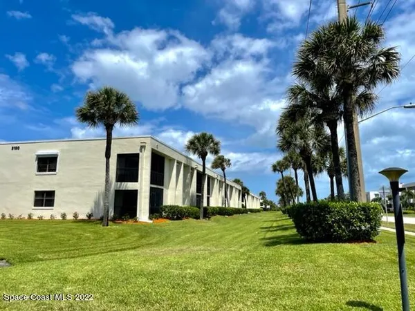 a view of a yard in front of a house with plants and large tree