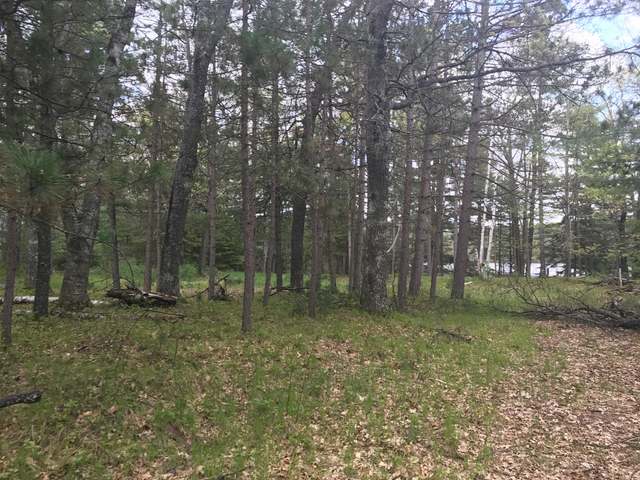 7125 Coon Lk Road Rhinelander, WI 54501 - Photo 3 of 11 Gallery Image 3