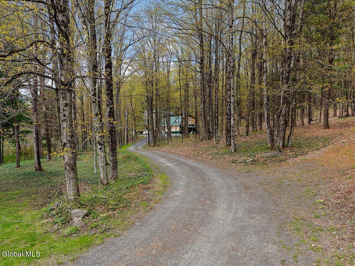 187 Lake Road Westerlo, NY 12023 - Photo 4 of 79 03-DJI_20260428153806_0451_D